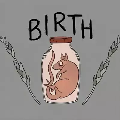 诞生 Birth|中文原版