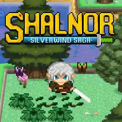 夏努尔 银风传奇 Shalnor Silverwind Saga 中文v1.0.整合版