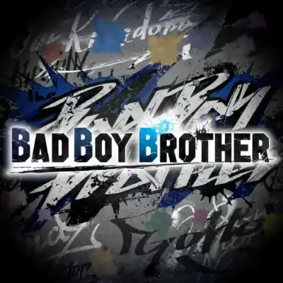 坏兄弟 BAD BOY BROTHER 美区中文本体+v1.0.1升补整合版