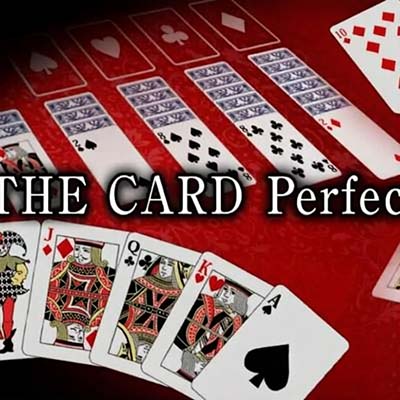 卡牌游戏完美合集 THE CARD Perfect Collection|中文原版